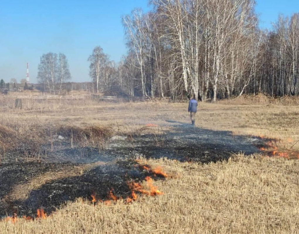 В Красноярском крае мужчина ради картошки поджёг траву